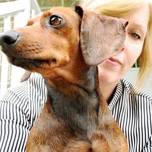 Meet your Posher, Susan